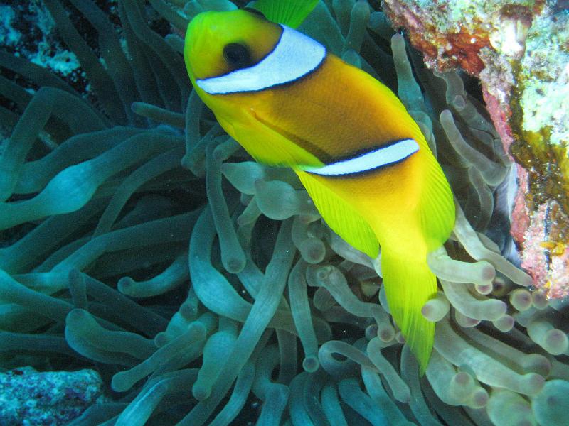 2009-12-01 14-34-39S.JPG